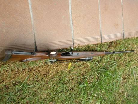 Para los amantes o coleccionistas de los Mauser 66 se vende Exclusivo rifle Mauser 66 del incrible calibre 20