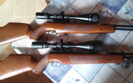 Os dejo estas dianas.
Las carabinas son dos hw y una fusion 5,5

Sin aire, tirando sentado y con una toalla.
Visores 01