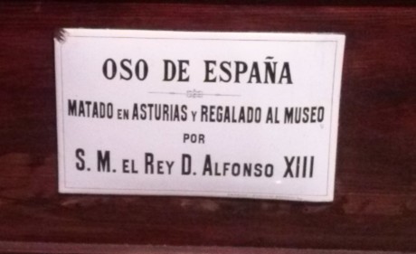 Al que le pueda interesar a subasta.
https://www.libertaddigital.com/cultura/arte/2014-11-25/la-coleccion-de-armas-de-alfonso-xiii-a-subasta-1276534379/