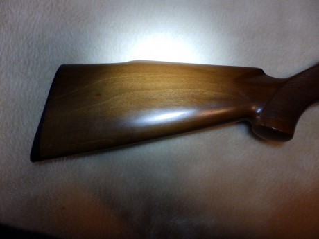Hola a todos , vendo CARABINA STAR MOD :110 SEMIAUTOMÁTICA CALIBRE 22 LR , CON DOS CARGADORES. Esta nueva, 02
