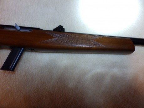 Hola a todos , vendo CARABINA STAR MOD :110 SEMIAUTOMÁTICA CALIBRE 22 LR , CON DOS CARGADORES. Esta nueva, 00