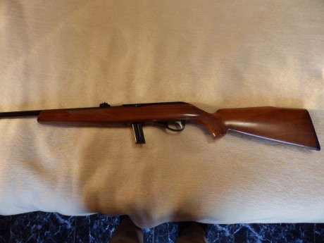 Hola a todos , vendo CARABINA STAR MOD :110 SEMIAUTOMÁTICA CALIBRE 22 LR , CON DOS CARGADORES. Esta nueva, 21