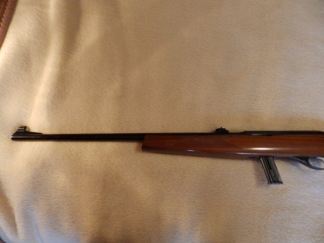 Hola a todos , vendo CARABINA STAR MOD :110 SEMIAUTOMÁTICA CALIBRE 22 LR , CON DOS CARGADORES. Esta nueva, 20