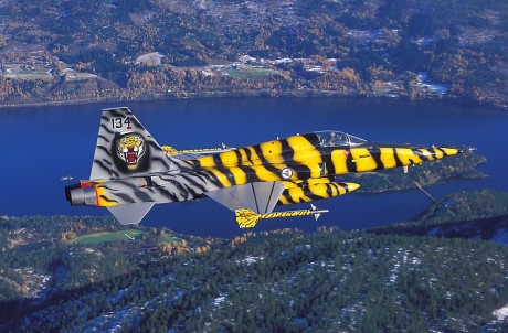 Pues eso, en este hilo pretendo deleitaros como amantes de los aviones de combate que sois muchos, con 122