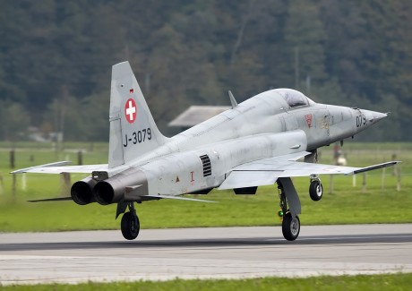 Pues eso, en este hilo pretendo deleitaros como amantes de los aviones de combate que sois muchos, con 161