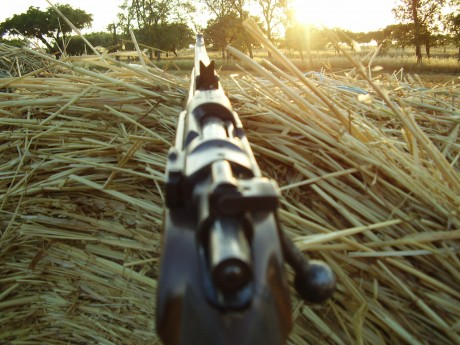 Todos los que tenemos mas de un arma, siempre existe una que es de nuestra mas estimacion, la mimada... 12