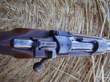 Todos los que tenemos mas de un arma, siempre existe una que es de nuestra mas estimacion, la mimada... 11