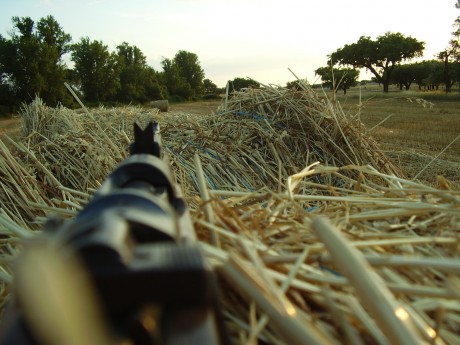 Todos los que tenemos mas de un arma, siempre existe una que es de nuestra mas estimacion, la mimada... 21