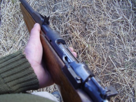 Todos los que tenemos mas de un arma, siempre existe una que es de nuestra mas estimacion, la mimada... 20