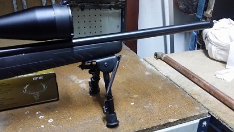 Pues que seguramente voy a comprar un Sako Quad Heavy Barrell en 17 hmr y quiero preguntaros una cosa. 120