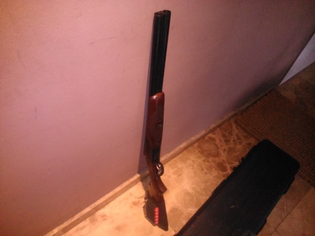 Vendo escopeta stoeger de cañones cortos (50cm)guiada en AE es del calibre 12/70 el arma se encuentra 10