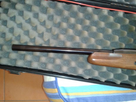 Hola a tod@s , pues vendo una de las mejores carabinas que tengo , en cuestion una estraordinaria y precisa 00