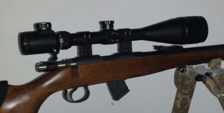 Hola! Tengo una cz 452 supermatch, y queria instalarle un visor Mueller 8-32x44. Mi duda es que anillas 70