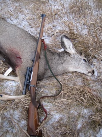 Buenas, pues mirando rifles por la red, he visto el voere 2185 con caja larga (full stock) y trae...46cm.
Estéticamente 80