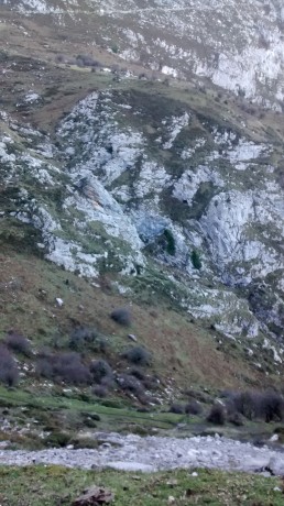 Sí tuvieramos un único rifle y quisiéramos elegir un solo visor para montería rececho y esperas, sin importarnos 140