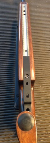 Vendo Diana mod. 75 en perfecto estado estético y de funcionamiento, PRECISIÓN ABSOLUTA, sistema de pistones 22