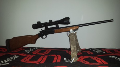 Hola, recientemente he adquirido un rifle cal 300 wm y es de cerrojo sin elementos de puntería, y parece 50