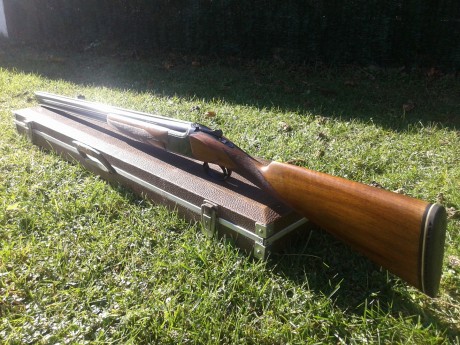    Buenas tardes, un amigo me ha pedido que le anuncie sus armas. Todas se encuentran en Barcelona y los 10