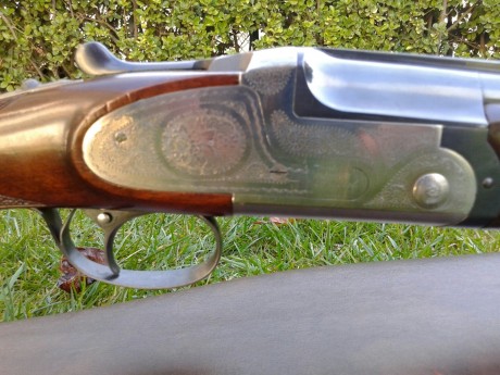    Buenas tardes, un amigo me ha pedido que le anuncie sus armas. Todas se encuentran en Barcelona y los 31