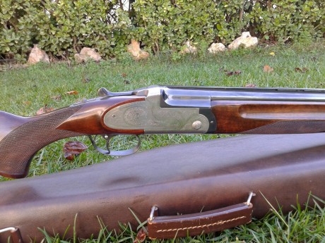   Buenas tardes, un amigo me ha pedido que le anuncie sus armas. Todas se encuentran en Barcelona y los 30