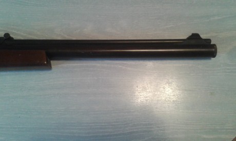 Buenas...
Hace tiempo que tengo esta carabina, herencia de la familia, y resulta que no se si hacerle 01