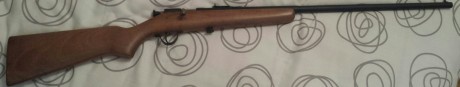 Hola buenas tardes, tengo una duda y seguro que alguien me puede responder. Tengo una carabina Onena Mod. 60