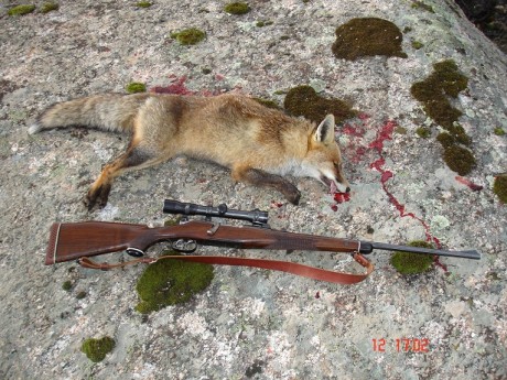 Siempre hemos oído que los cerrojo superan en mucho en cuanto a precisión se refiere a los rifles semis.
Esto 32