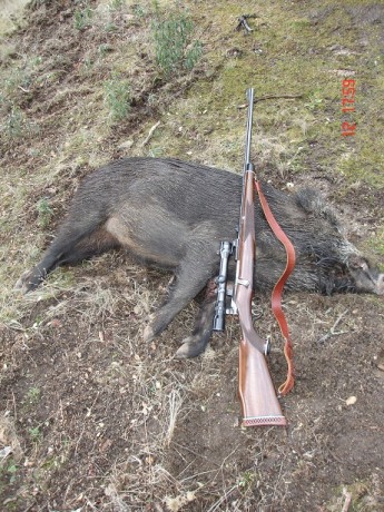 Siempre hemos oído que los cerrojo superan en mucho en cuanto a precisión se refiere a los rifles semis.
Esto 31