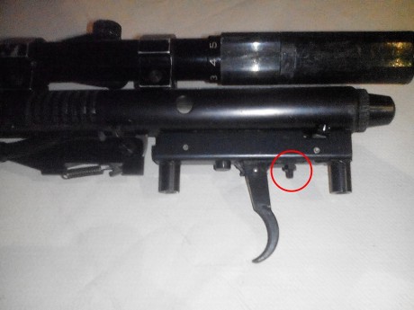 Hola compańer@s.Hace un tiempo adquirí esta carabina a un compañero del foro y todavia no la había probado,ya 70