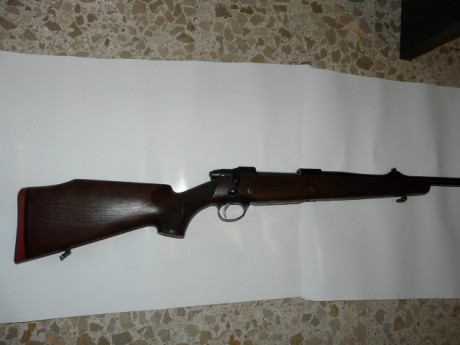 Vendo por no usar rifle sako 75 cal. 338WM. Huelgan explicaciones del rifle y cartucho.Calibre contundente 12