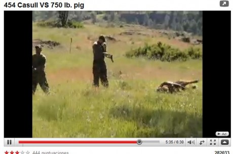 Navegando por youtube he descubierto este video de casualidad.
No sé si ya se ha subido antes.

Estoy 01