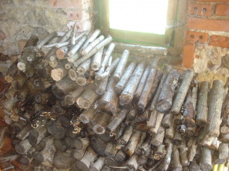 Este es un llamamiento para los foreros de Cantabria que no tenemos el gusto de conocernos en persona, 101