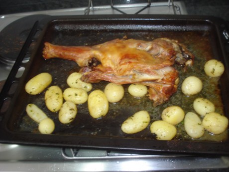 Suma y sigue...  :zebFat: 100