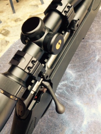 Hola Companeros,
pongo a la venta mi rifle HAENEL J 10 Varmint cal. .308 de alta precisión.Canon semi 21