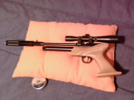 Hola, vendo pistola en 5.5 con solo dos bombonas de gas gastadas para probarla, unos 70 disparos.
Se vende 01