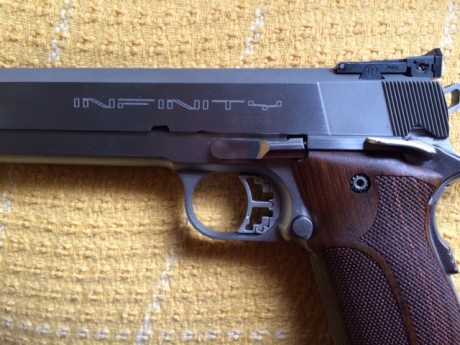 Hola vendo varias armas por dejar el tiro por temas de trabajo

Infinity Scepter 6" 9mm =1600€
tres 12
