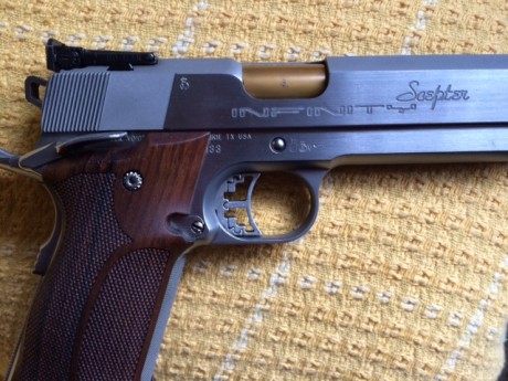 Hola vendo varias armas por dejar el tiro por temas de trabajo

Infinity Scepter 6" 9mm =1600€
tres 11