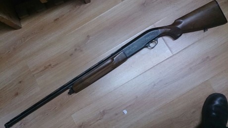 Se vende escopeta marca Beretta, modelo Saut, calibre 12.
En muy buen estado. Precio 500€, negociable. 00