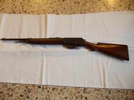 Hola,

Vendo una carabina Winchester modelo 1907, calibre .351,  con cargador de 5 balas, en perfecto 01