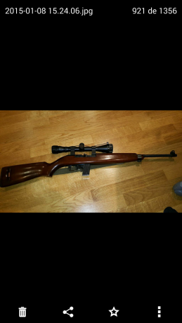 Muy buenas a todos, como digo en el anuncio me gustaría cambiar mi carabina de calibre 22lr, por una escopeta 00