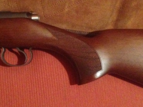 Hola
Pongo a la venta la siguiente Carabina, se trata de un CZ452 Caja Larga muy nueva.
El arma está en 11