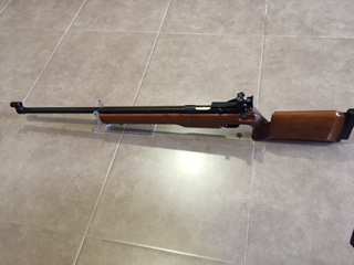 Se venden estas dos carabinas de tiro con diopter ambas y cañones pesados,
Están completamente nuevas 00