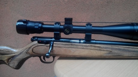 Buenas tardes, estoy interesado en adquirir una carabina del calibre 22. Me interesaba mucho la Ceska 11