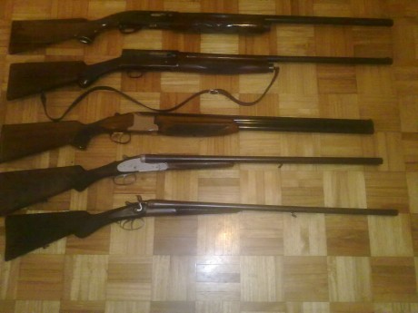 Se venden o cambian por algún arma de mi interés (rifles, carabina, armas cortas), las siguientes escopetas:
Remington 01