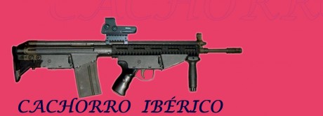 Se pueden disparar decentemente, o lo dejamos para distancias mas propia de pistola... ??? 20