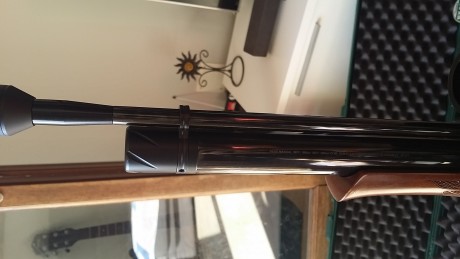 Vendo esta magnifica carabina en perfectisimo estado, ni un rasguño. 
Air arms s400f classic regulada 10