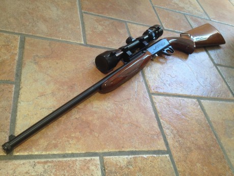 Vendo Carabina Norinco JW-20 semiautomática del calibre 22. Capacidad 10 balas, longitud total 84 cm y 01