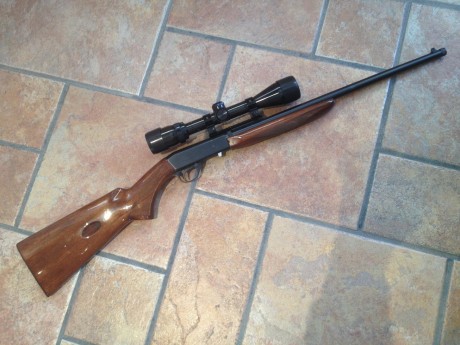 Vendo Carabina Norinco JW-20 semiautomática del calibre 22. Capacidad 10 balas, longitud total 84 cm y 00
