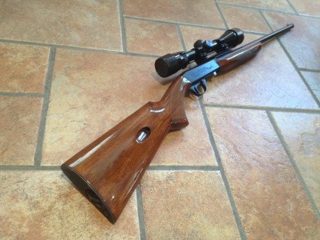 Vendo Carabina Norinco JW-20 semiautomática del calibre 22. Capacidad 10 balas, longitud total 84 cm y 10
