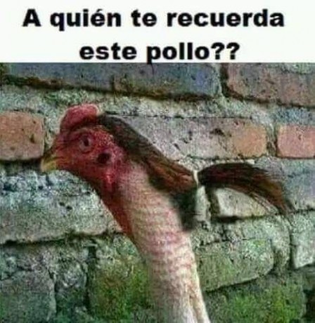 Y m han ayudado bastante 30